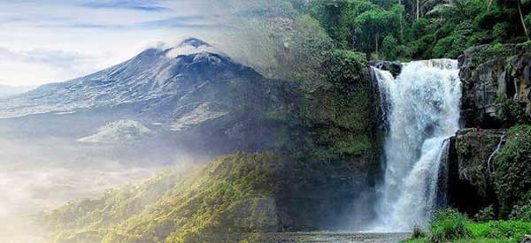 Read more about the article Kintamani and Ubud Tour