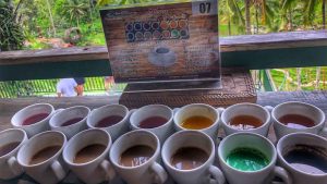 luwak-bali-coffee