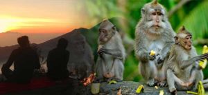 Read more about the article Batur Volcano Trekking and Monkey Forest