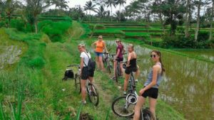 cycling-tour-3