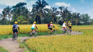 cycling-tour-5
