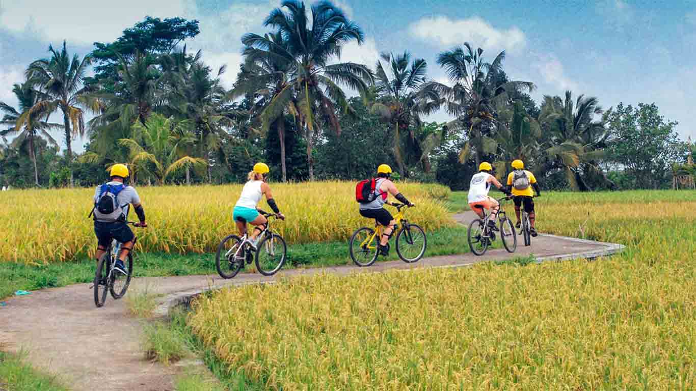 cycling-tour-5