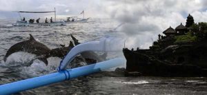 Read more about the article Lovina Dolphin Tour