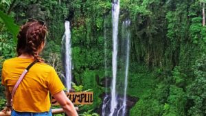 sekumpul-trekking-view