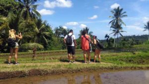 sekumpul-waterfall-trekking-2