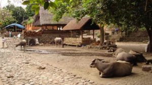 tenganan-village